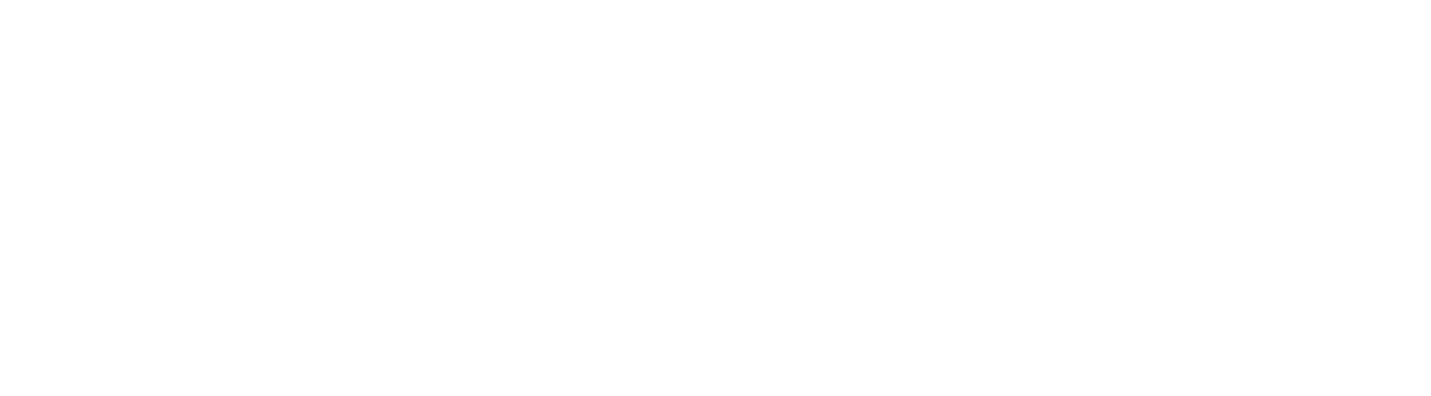 Premium Positioning